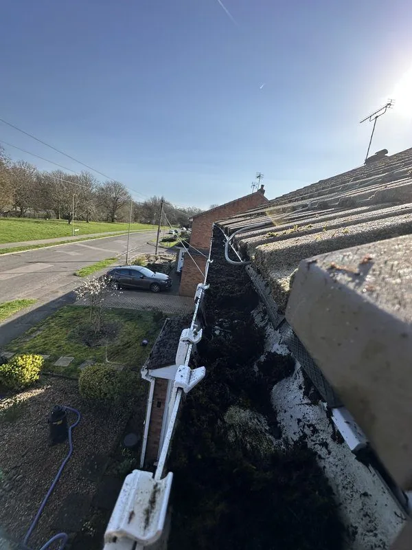 Gutter Cleaning before