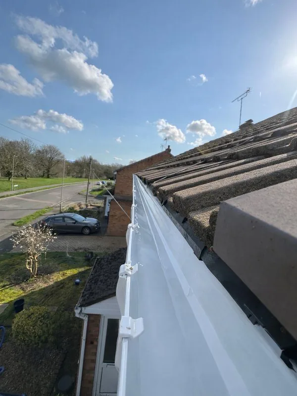 Gutter Cleaning after